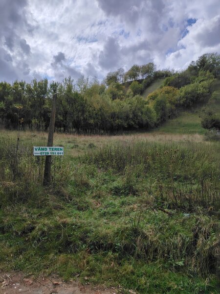 Campulung Muscel - Valea Rumanestilor