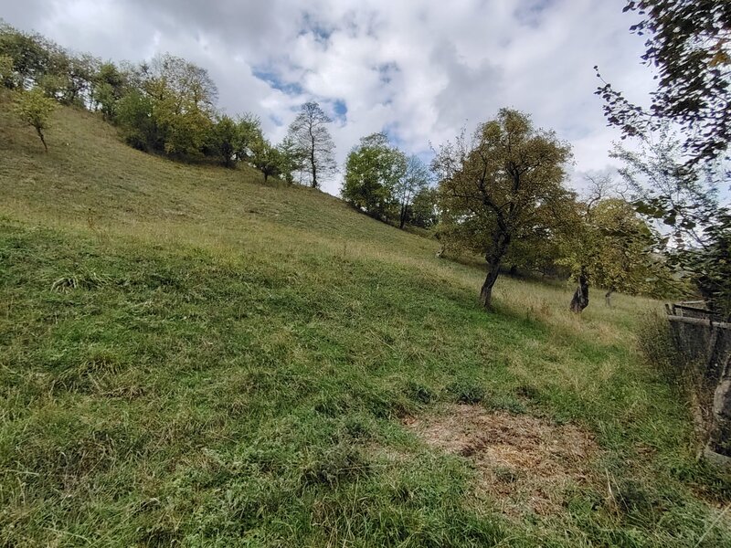 Campulung Muscel - Valea Rumanestilor