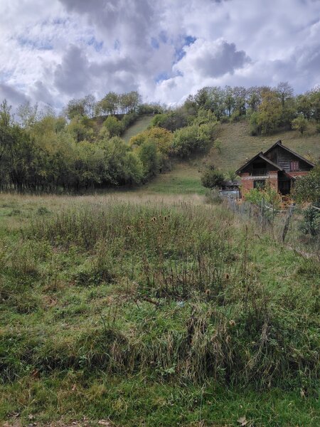 Campulung Muscel - Valea Rumanestilor